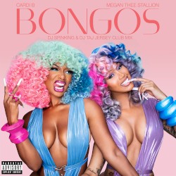 Bongos (DJ SpinKing & DJ Taj Jersey club mix)