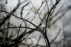 Beauty in Grief
