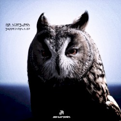 Barred Owls