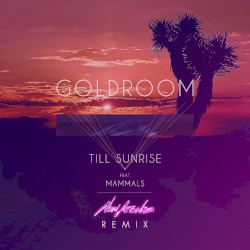 Till Sunrise (remix)