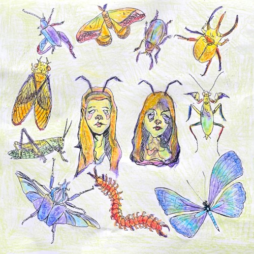 BUGS