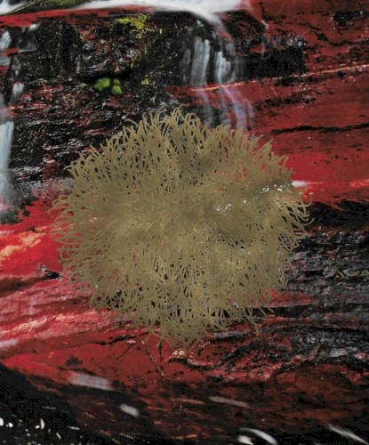 𝔞𝔣𝔱𝔢𝔯 𝔱𝔥𝔢 𝔣𝔞𝔩𝔩