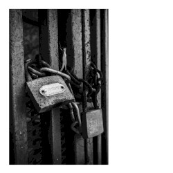 The Lock (Fundraiser for COVID-19 Relief)