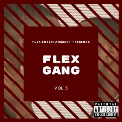 Flex Gang, Vol. 5