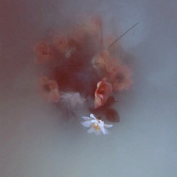 Southern Skies