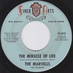 The Miracle Of Life / What About The Mountain?