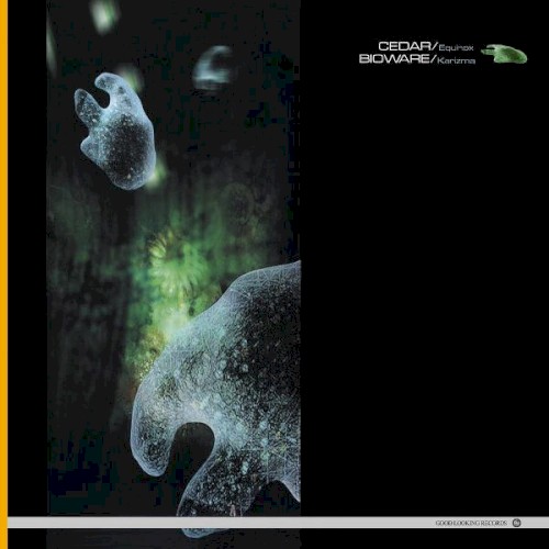 Equinox / Karizma