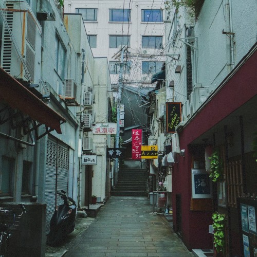 Rainy Walk