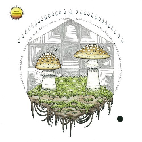 Mycelia