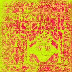 Afekt
