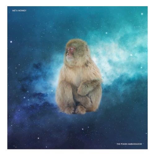 Meta Monkey