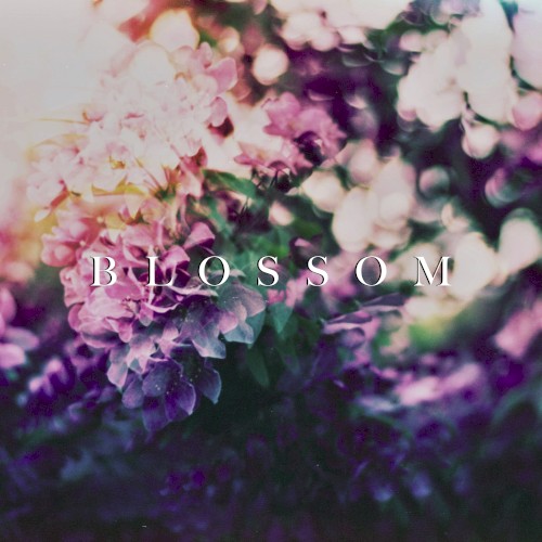 Blossom