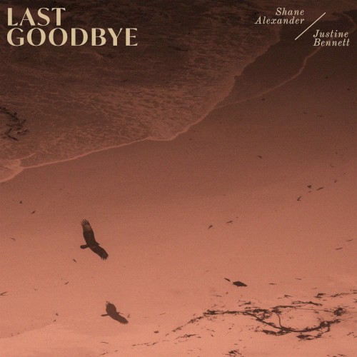 Last Goodbye