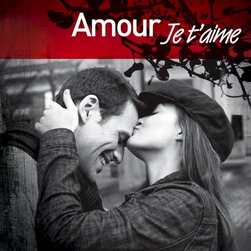 Amour je t'aime : Les Plus Belles Déclarations d'amour en chanson