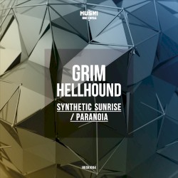 Synthetic Sunrise / Paranoia