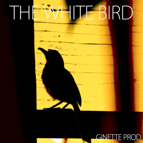 The White Bird