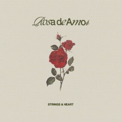 rosa de amor