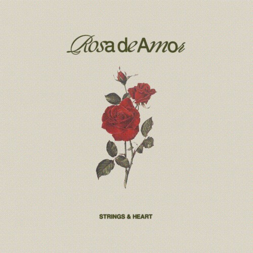 rosa de amor