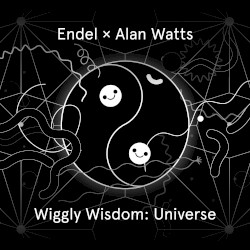 Wiggly Wisdom: Universe