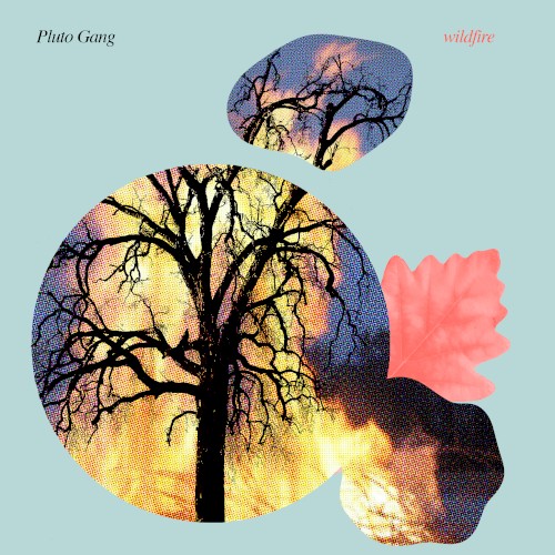 Wildfire