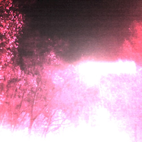cluster 1