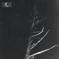 (Colours of the Night) Satellite