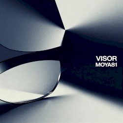 Visor