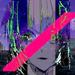 氏名、住所、年齢、職業など全て不詳の女