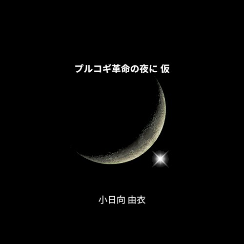 プルコギ革命の夜に 仮