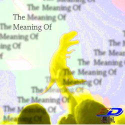 The Meaning Of