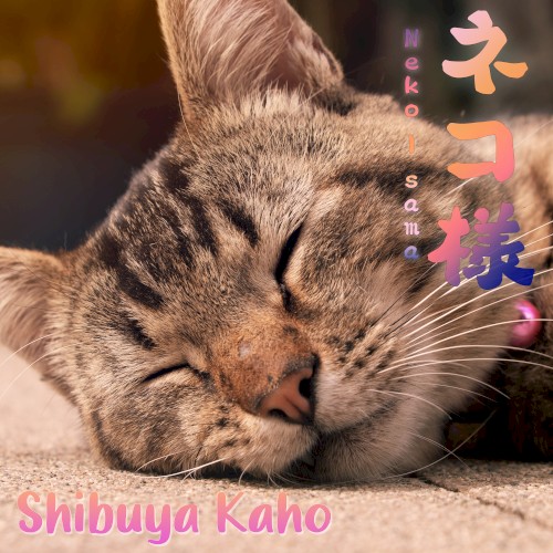 Neko-sama