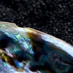 Deep Blue