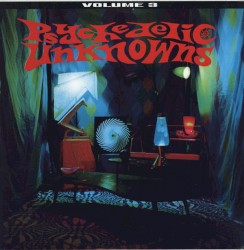 Psychedelic Unknowns, Volume 3