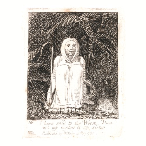 I have said to the Worm: Thou art my mother and my sister.