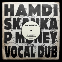 Skanka (P Money vocal dub)