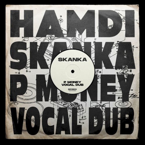 Skanka (P Money vocal dub)