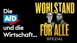 Wohlstand für Alle: Spezial #32, „Die Wirtschaftspolitik der AfD – erklärt von Nils Schniederjann“