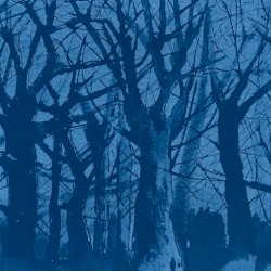 Blue forty-nine