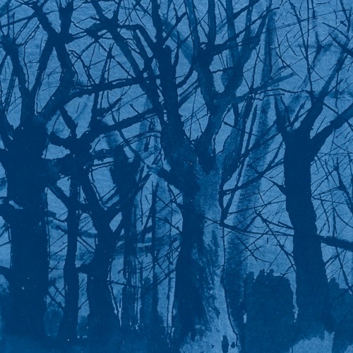 Blue forty-nine