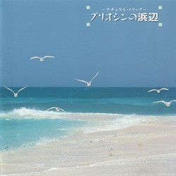 プリオシンの浜辺