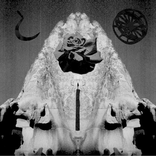Seraphastra