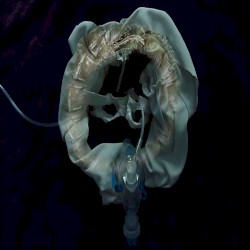 InitiatriX