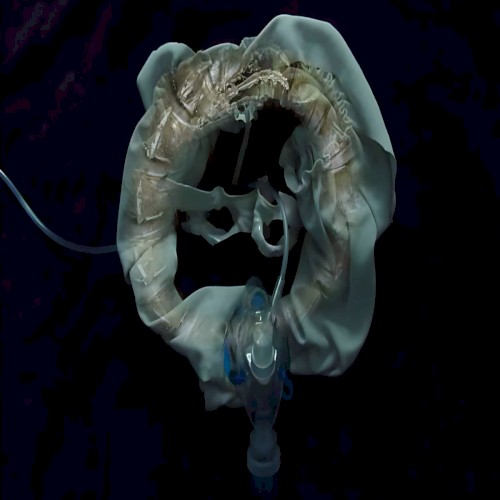 InitiatriX