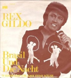 Brasil und die Nacht / 'n Kater hab' ich, aber keine Mäuse