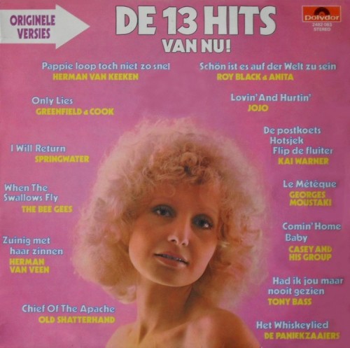 De 13 hits van nu!