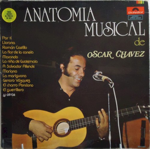 Anatomía musical