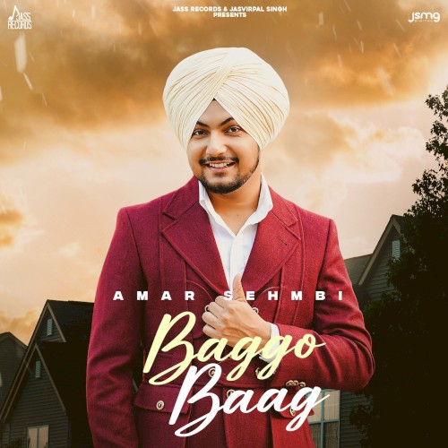 Baggo Baag