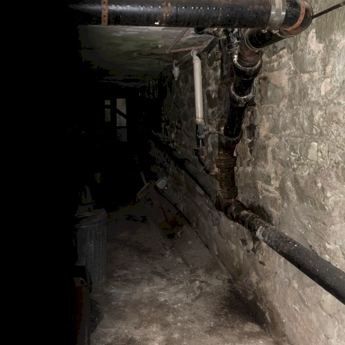 Decay (Deluxe)