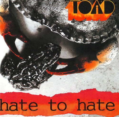 Hate To Hate