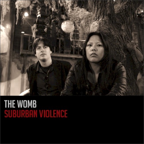 Suburban Violence